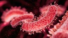 Bactérias resistentes