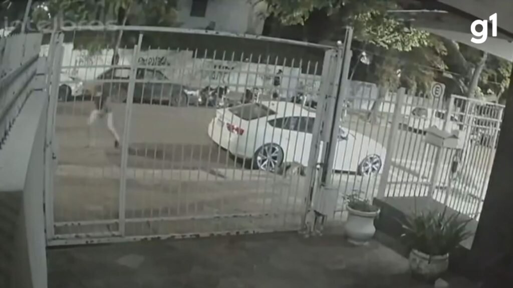 Foto: Reproducao / G1 RS