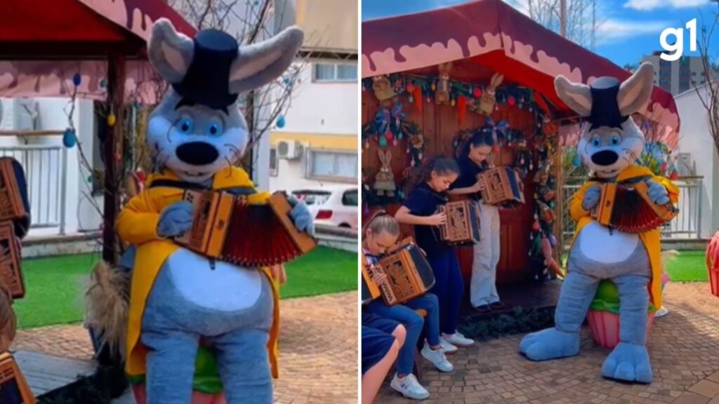 Foto: Reproducao / G1 RS