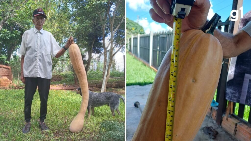 Foto: Reproducao / G1 RS