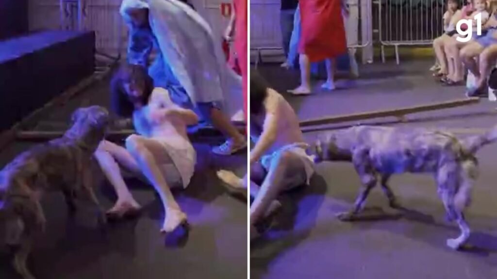 Foto: Reproducao / G1 RS