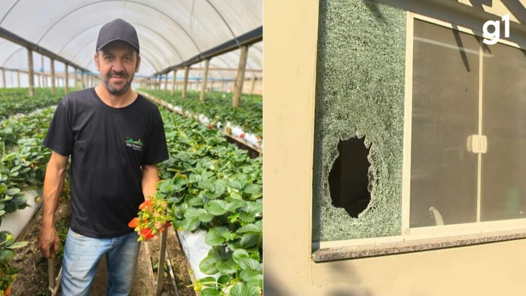 Foto: Reproducao / G1 RS