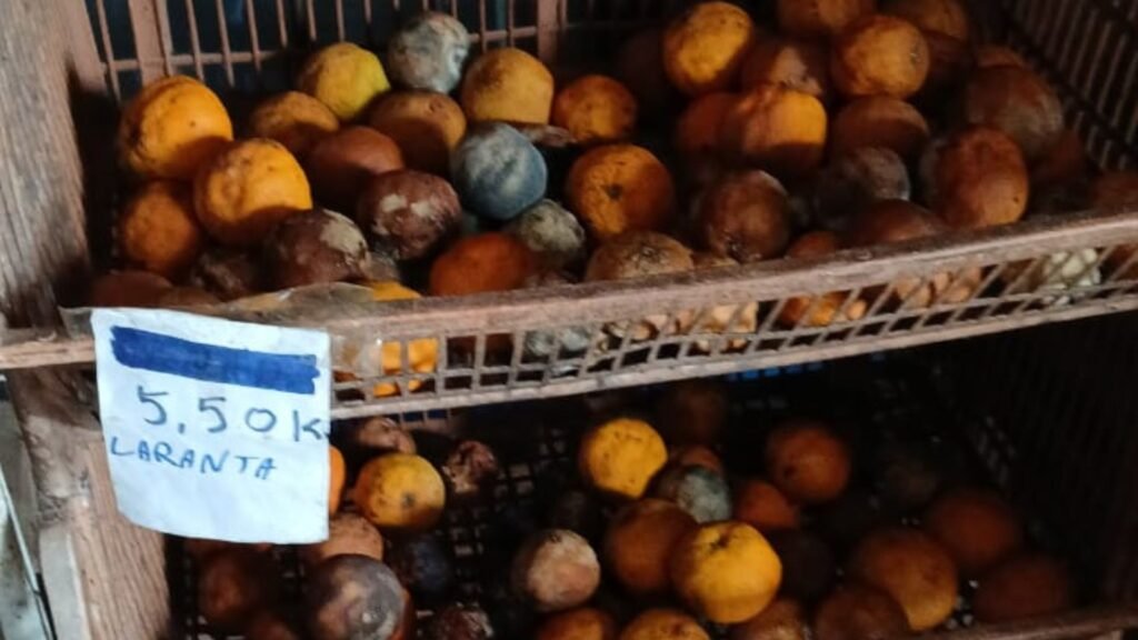 Foto: Reproducao / G1 RS