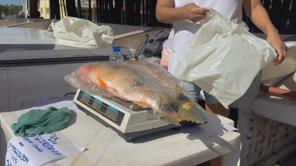 Foto: Reproducao / G1 RS