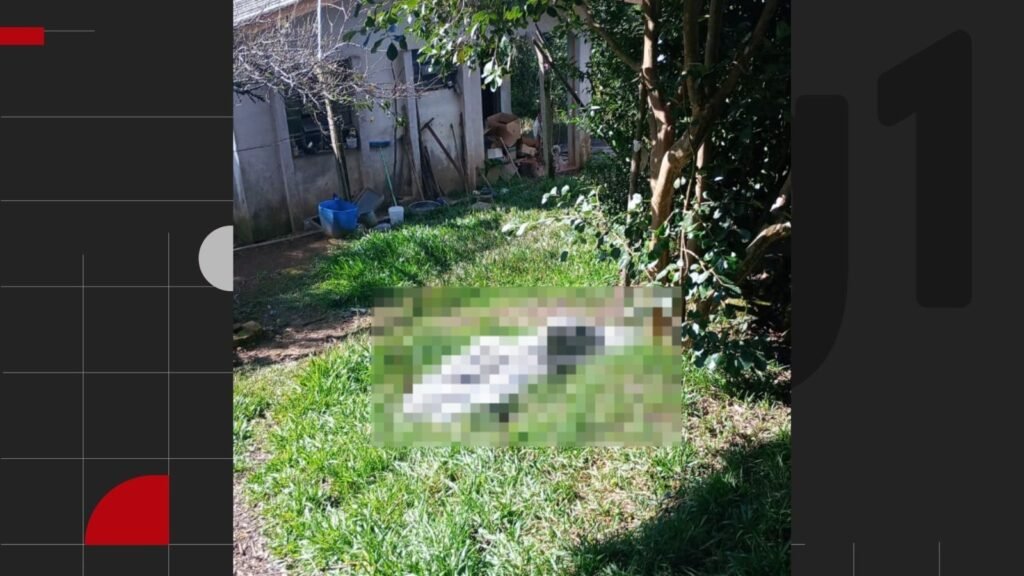 Foto: Reproducao / G1 RS