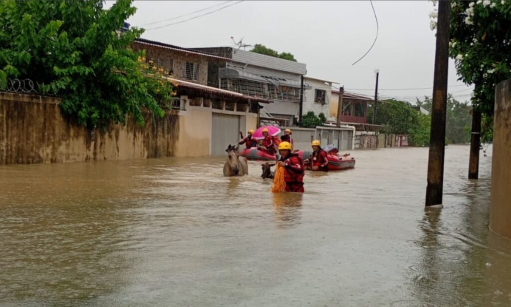 Foto: Reproducao / Agora RS