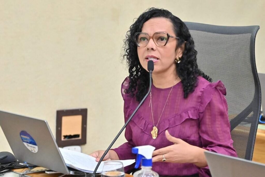 Foto: Reproducao / Jornal O Sul