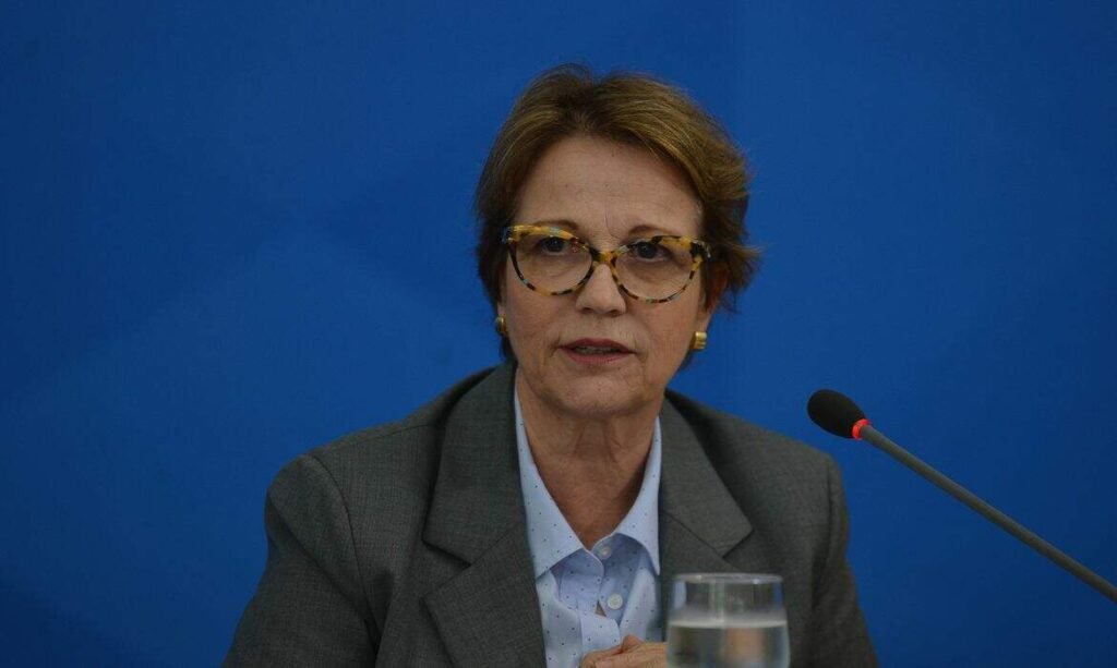 Foto: Reproducao / Jornal O Sul
