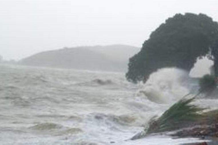 Foto: Reproducao / Jornal O Sul